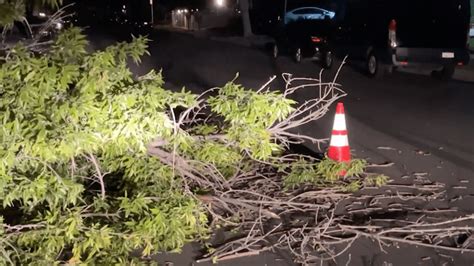 Strong winds topple trees, prompt power outage warnings across Southern California