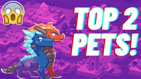 A bunch of information about the pets in the math game Prodigy.. 
