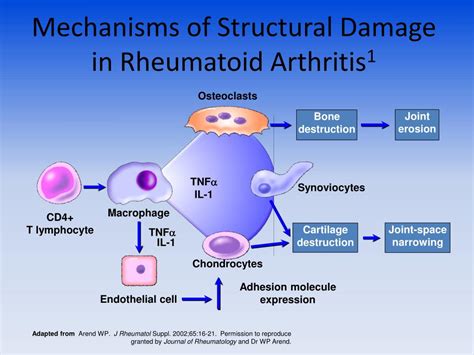 Structural Damage in Rheumatoid Arthritis