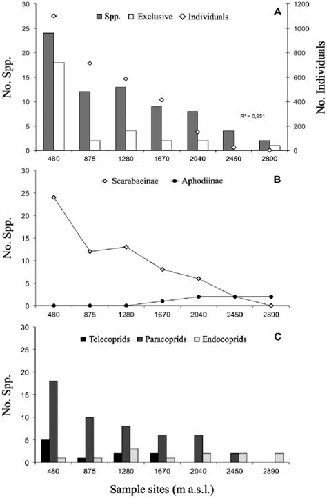 Structure and Composition of Dung Beetle Assemblages …