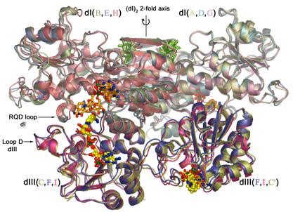 Structure and Function of Membrane Bound Enzymes - Scripps …