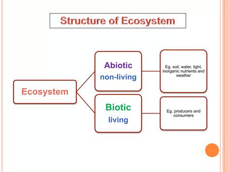 Structure and function of ecosystem slideshare.  Structure & Functions of Ecosyste...