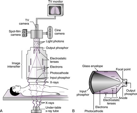 Structure of the imaging receiver. Download Scientific Diagram