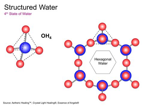 Structured water science.  The liquid crystalline organization of the h...