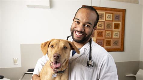 Student doctor network veterinary. Things To Know About Student doctor network veterinary. 