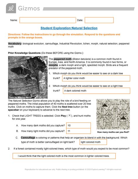  Student Exploration: Evolution: Natural and Artificial Selection. Directions: Follow the instructions to go through the simulation. Respond to the questions and prompts in the orange boxes. Vocabulary: artificial selection breed chromosome evolution fitness genotype mutation natural selection, phenotype . 
