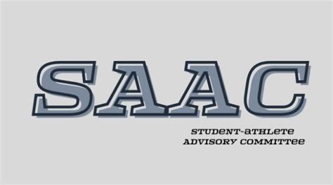 Campus committees can facilitate better communication among student-athletes from various athletics teams to address issues common to all. The campus SAAC may .... 