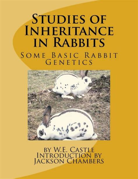 Studies of inheritance in rabbits some basic rabbit genetics. - Mook jong bauanleitung bau von modernen und traditionellen holzpuppen.