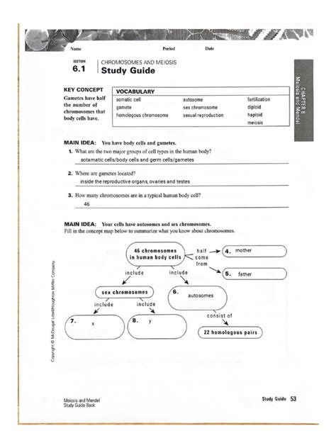 Study Blackboard Guide Answers C6