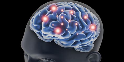 Study Sheds Light on How Dopamine Neurons Contribute to Memory Formation in Humans