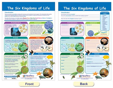 Study Six Modern Guide Kingdoms