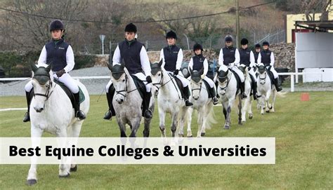 Study With Us - horse course