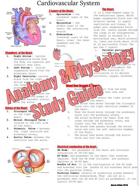 Study guide answers to anatomy and physiology with integrated. - Lettre d'un docteur de sorbone, a une personne de qualité, sur le sujet de la comedie..