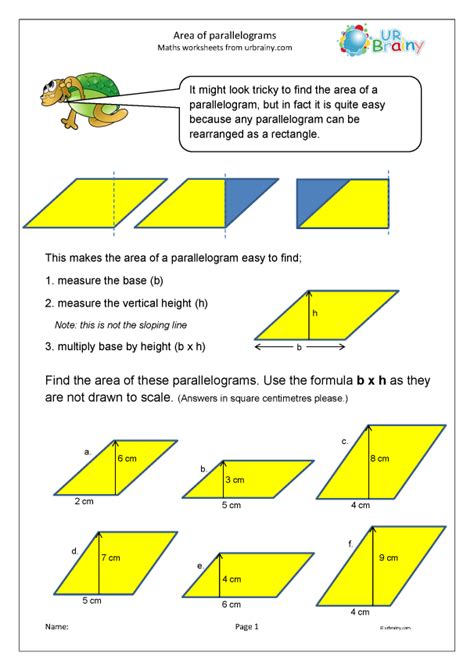 Study guide area of parallelograms answer key. - Archäologischer kommentar zu den villenbriefen des jüngeren plinius.
