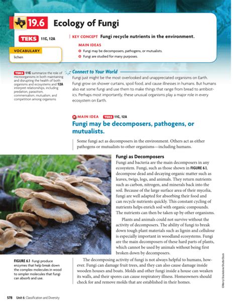 Study guide b 19 6 ecology of fungi answers. - Régimen jurídico de la telefonía móvil.