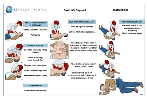 Study guide for 2015 basic life support. - 1998 john deere backhoe 310e service manual.