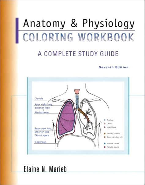 Study guide for anatomy physiology 7e. - Producción bibliográfica sobre temas referidos a la mujer, período 1982-1992.