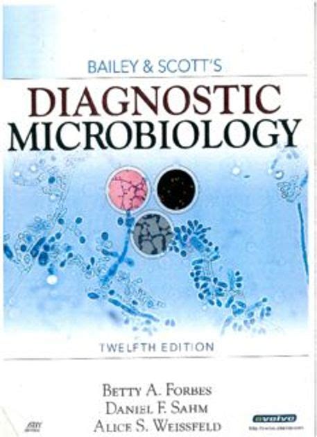 Study guide for bailey and scott s diagnostic microbiology 12e. - 1981 honda cm200t service manual free.