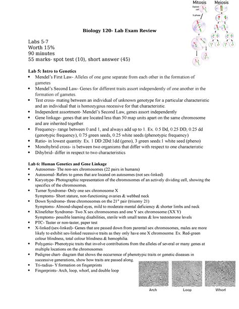 Study guide for biology 120 lab. - John deere lx 188 operator manual.