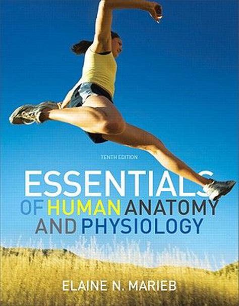 Study guide for human anatomy and physiology by elaine nicpon marieb. - Aerodynamics aeronautics and flight mechanics solution manual.