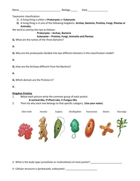 Study guide for kingdom protista and fungi. - The white rose of stalingrad the real life adventure of.