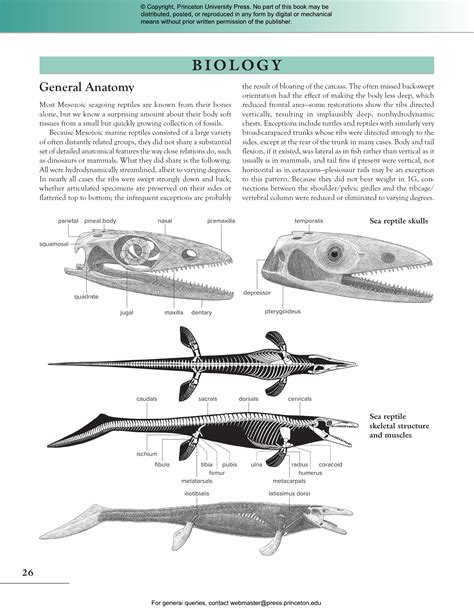 Study guide for marine reptiles and birds. - John deere 54c mower deck oem operators manual.