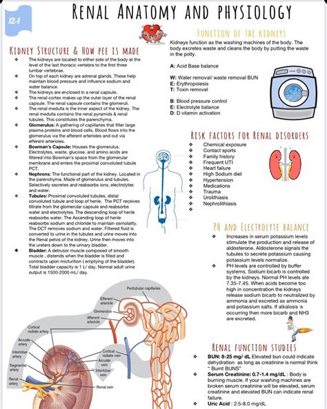 Study guide for renal dietitians exam. - Moto guzzi norge 1200 service repair workshop manual.