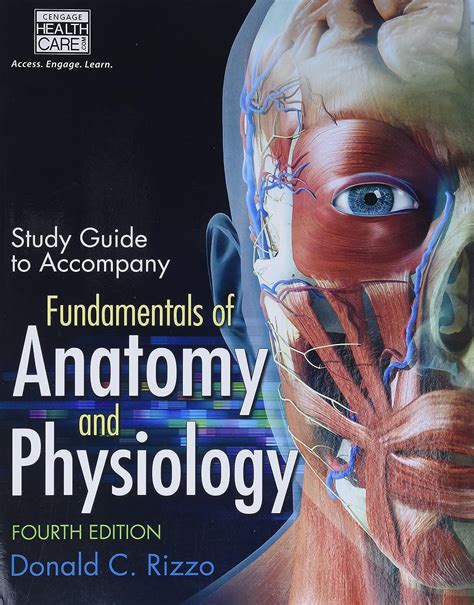 Study guide for rizzos fundamentals of anatomy and physiology 4th. - Briggs and stratton repair manual 402707.