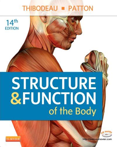Study guide for structure function of the body 14e. - Presidência do congresso na constituição de 1967..