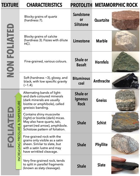 Study guide metamorphic rocks answer key. - Exploring and classifying life study guide answers.