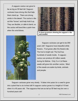 Study guide of the saguaro cactus comprehension. - Cset industrial and technology education exam secrets study guide cset test review for the california subject.