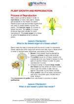 Study guide plant growth reproduction and response. - Briganceinventaire du développement de l'enfant entre 0 et 7 ans..