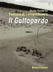 Study guide to il gattopardo troubador italian studies. - The csi project delivery practice guide.