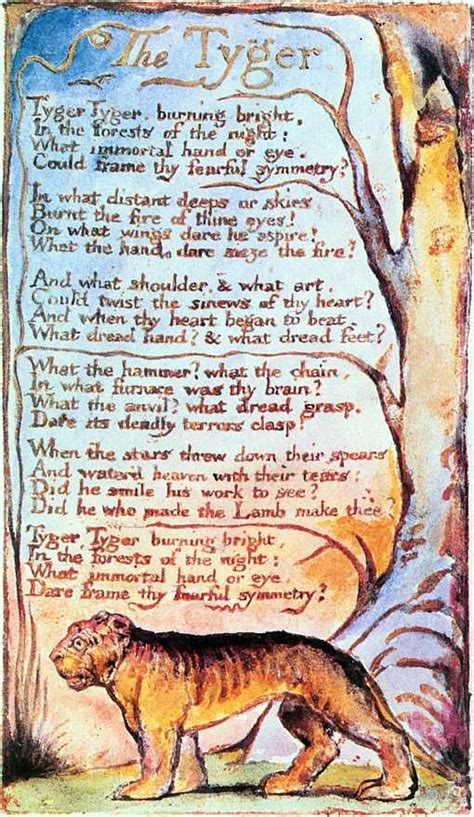 Study guide william blake the tiger. - Resident guide to the lmcc ii.