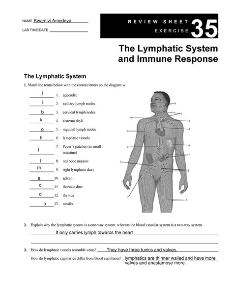 Study guide your lymphatic system answers. - Herbal medicines a guide for health care professionals.