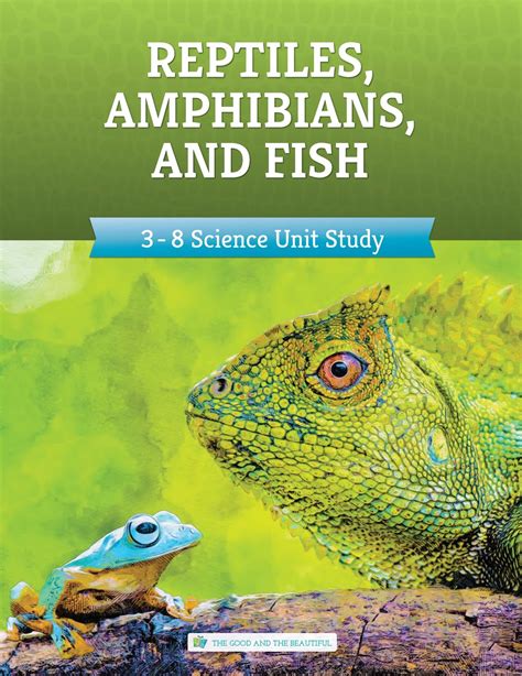 Study of reptiles and amphibians. Things To Know About Study of reptiles and amphibians. 