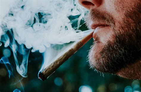 Study reveals THC smoke can have similar effects of tobacco