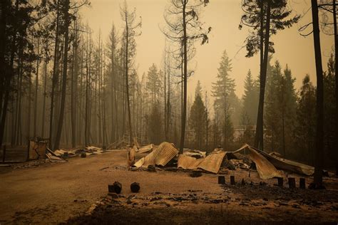 Study says buffers, fire resistant materials could slash wildfire risks to residences