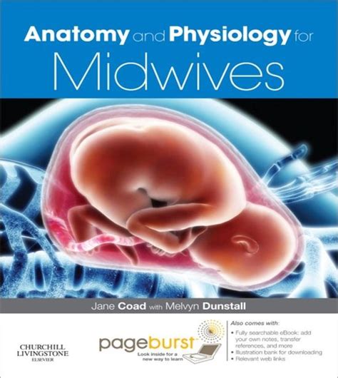Studyguide for anatomy and physiology for midwives by coad jane. - Sample medical clinic policy procedure manual.