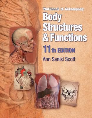 Studyware For Scott Fong S Body Structures And Functions 11thbody Structures Amp Functions Workbook