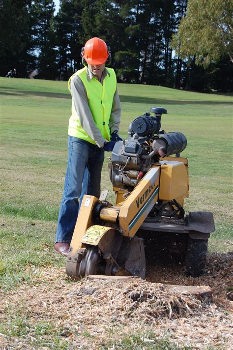 Stump grinding service. We specialize in stump grinding services. Rely on us when you need: No matter what service you need, you can rest assured that we'll use the right equipment to get the job done. Call us today at 920-257-9699 for a free estimate on our services. We look forward to working with you. 