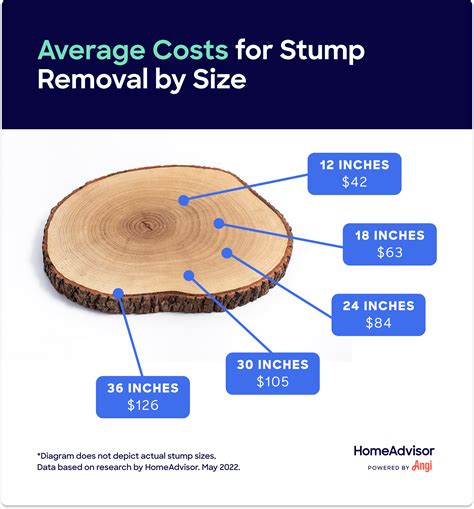 Stump removal cost. How much do stump removal & grinding services typically cost? Conyers, Georgia Average. $292. Typical Range. $142 - $484. Low End - High End. 
