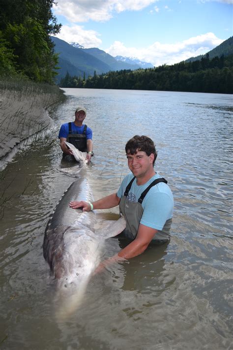 Sturgeon fishing - Review of Great River Fishing Adventures, …