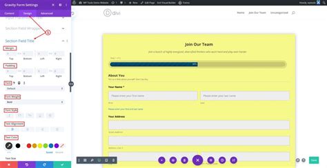 Style Gravity Form Section Break Field In Divi Theme WP Tools