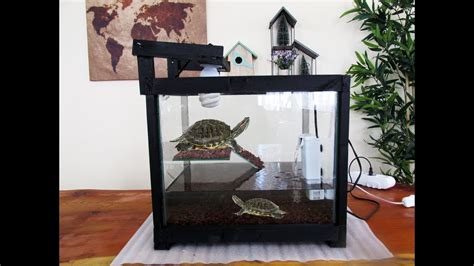 Su kaplumbağası akvaryum fiyat
