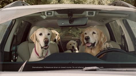 Re: Subaru brings back The Barkleys CUTE COMMERCIALS. 03-14-2023 05:24 PM. @Spurt They are so cute. Loved the one with the tennis ball on the cord. Wonder how many of us have that set up, I know I do! Report Inappropriate Content. Message 2 of 25 (1,330 Views). 