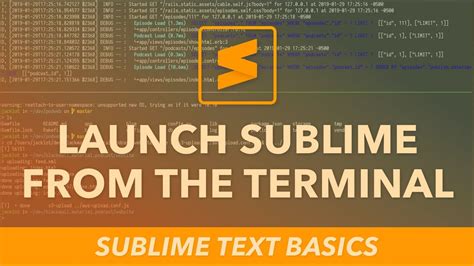 Sublime Text Basics Launch Sublime from the terminal The.