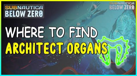 Subnautica below zero aerogel location.  WHERE TO FIND ARCHITECT COMPONENT ORGANS IN ...