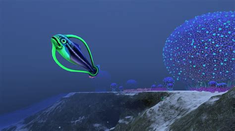 The Seamoth Sonar is a Seamoth Upgrade Module that can assist in the player's efforts to navigate underwater. It can help the player navigate easier at night, find their way out of complex cave systems and detect land …. 