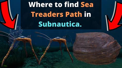 Subnautica sea treader path location.  #subnauticaguide #subnauticamore This small biome,...